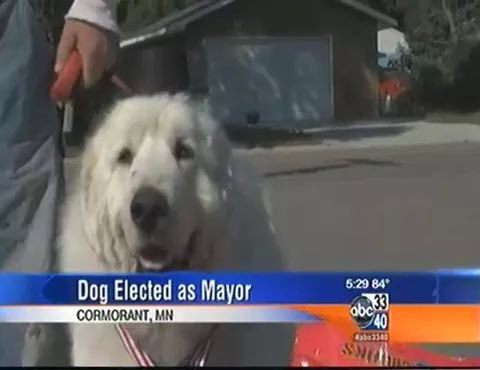 Dyl_Pickle18's tweet photo. Time to put chiefy boi on the political track. Watch out mayor of West Chester https://t.co/Rp5pp7iRAr