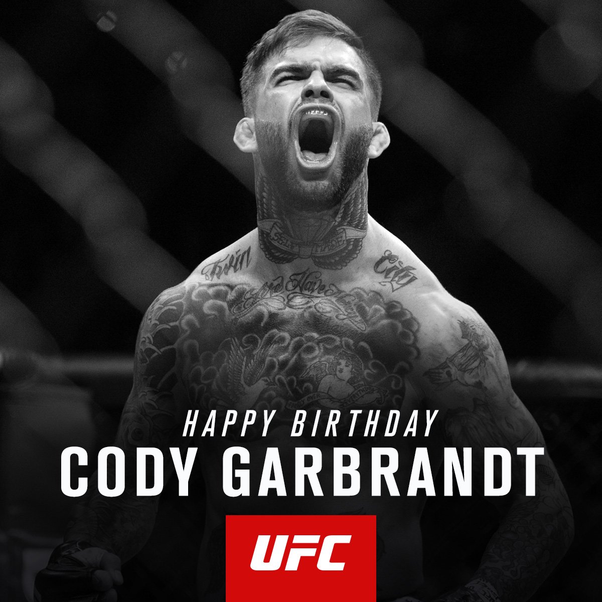 ufc's tweet photo. RT to wish @Cody_NoLove a Happy Birthday!! https://t.co/4dlAcT0weO