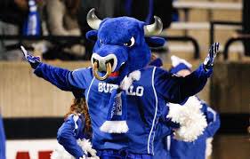 not_worrieddd's tweet image. Blessed to say I have received an offer from Buffalo University 🔵⚪️⚫️ @UBFootball #thisoneisforyou