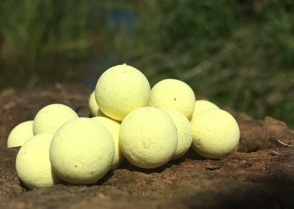 SterlingBaits's tweet photo. CN2 - Yellow Fluoro PopUp + Booster Dip 

Available In 12mm &amp; 14mm 

£5.00 a Pot

#SterlingBaits #CN2 https://t.co/7AiIGHXx3e