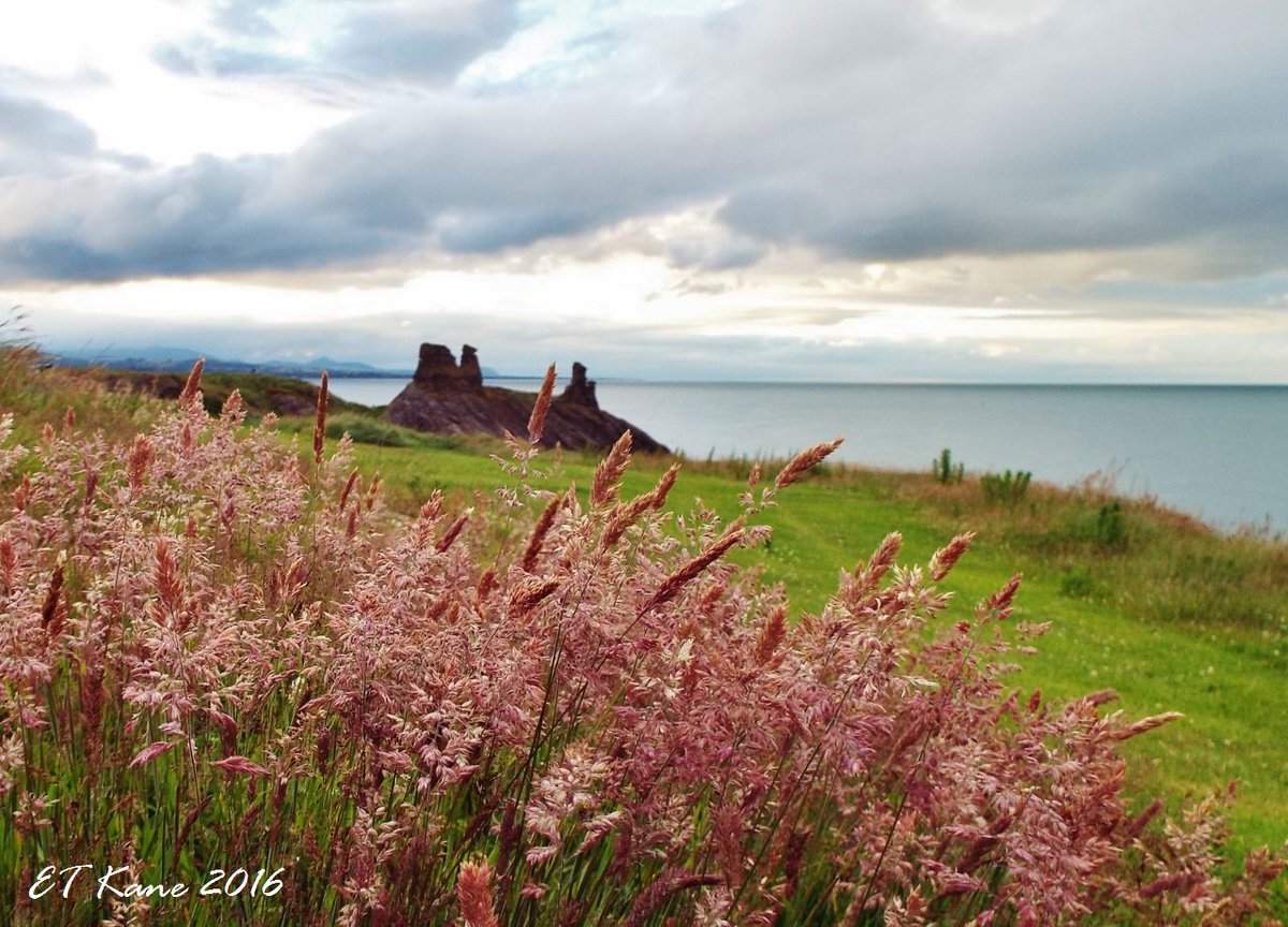 When the sun came out later in the day, #Wicklow looked even better! #BlackCastle #IrelandsAncientEast