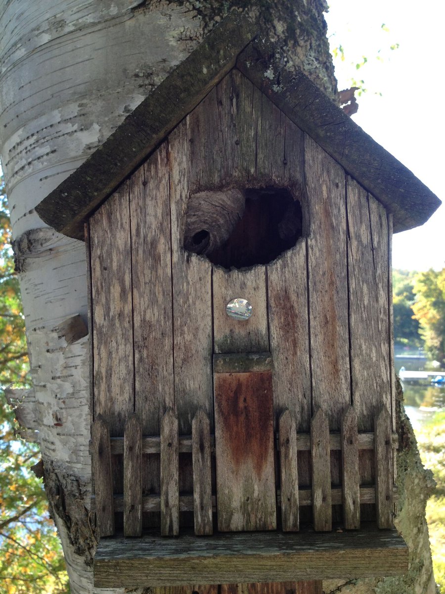 PlaqueBurlingTN's tweet image. Is this the Birds and the Bees  #plaquemounting #bees #birdhouse