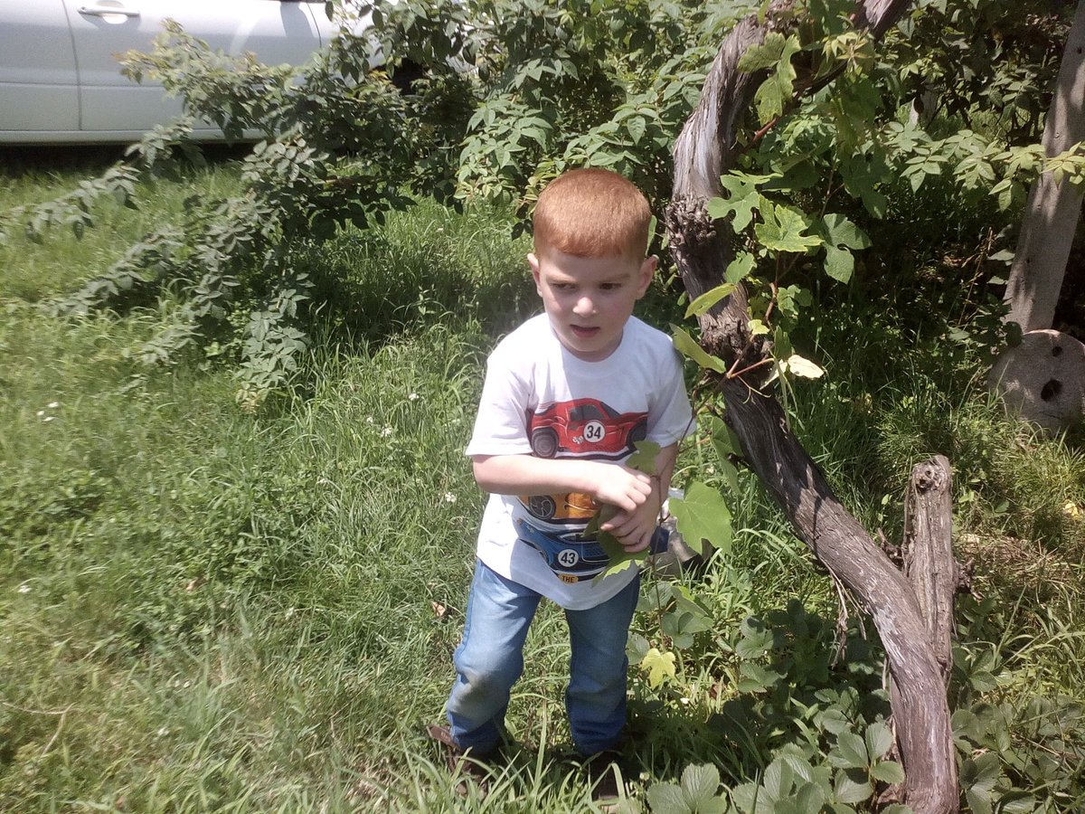 كروم حبيب قلبي الله يشفيك ياعيوني