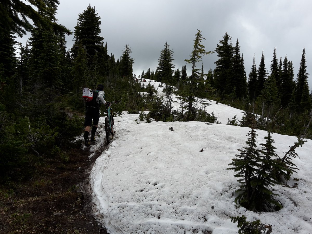 groundeffectnz's tweet photo. Jamie making like a snow leopard day 3 #transBCenduro #halfwaythere #gojamiego https://t.co/AvmiBc2Zvm