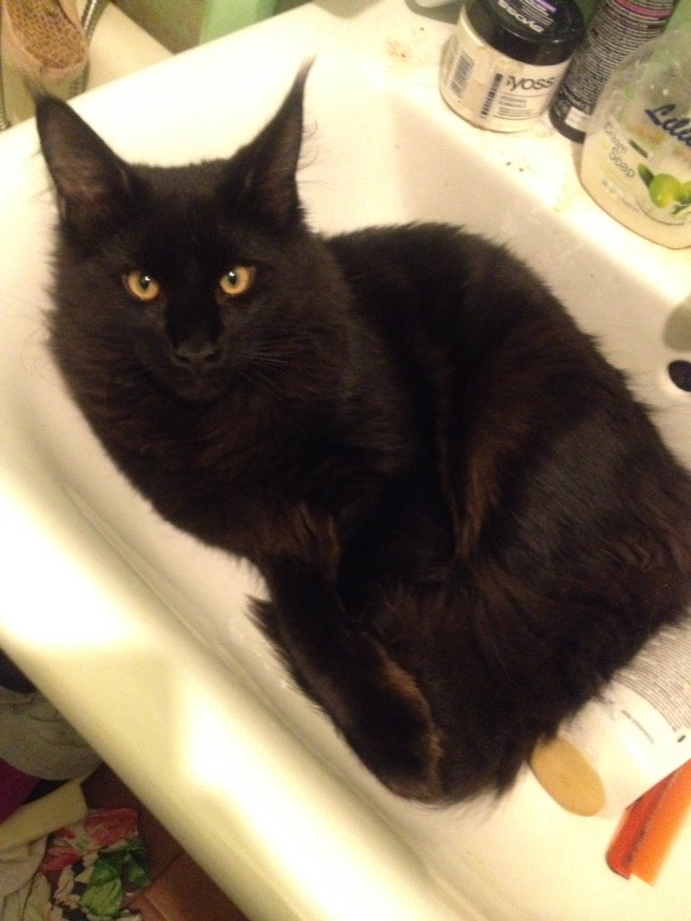 CoolCompare's tweet image. Sleep