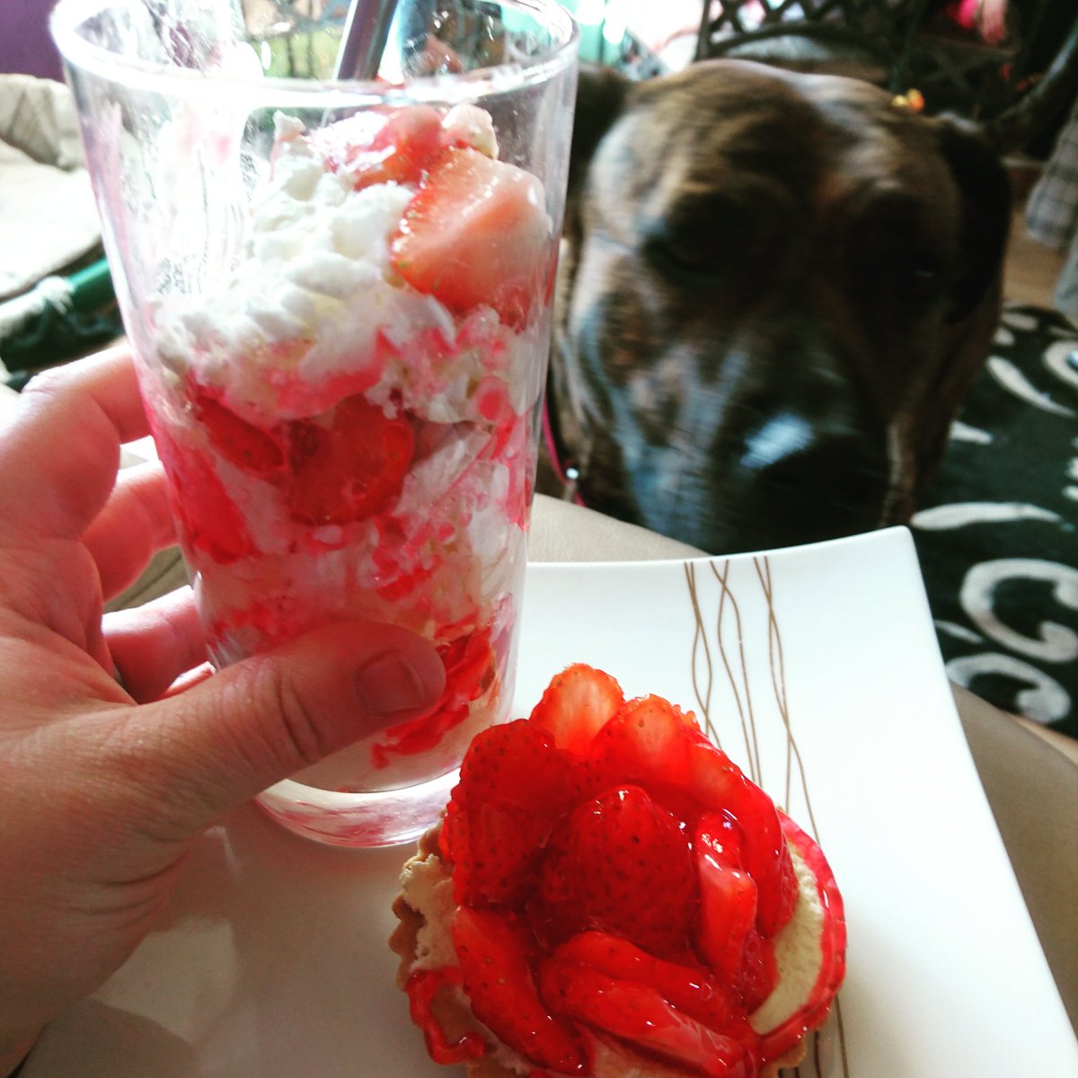 lauli0910's tweet photo. #strawberrypicking #blacketyside #funinthesun #love these girls #etonmess n #strawberrytarts @crazyxlovely86 https://t.co/H56OIkBLFM