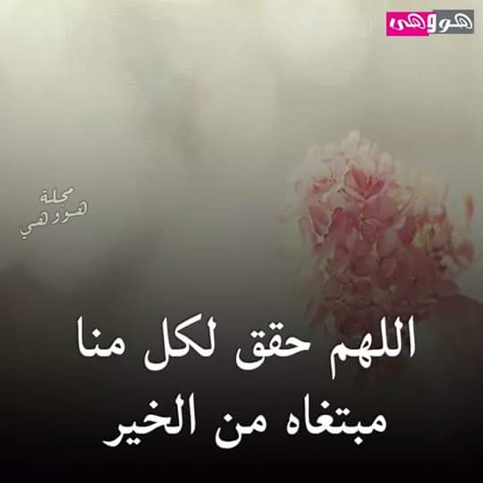 AbdYesf's tweet photo. اللّهم اجعل هذهِ الليلة حاملة لنا من الخير فوق ما نرجوا واشرح صدورنا 
  #yesf https://t.co/RRkKmgBOWJ