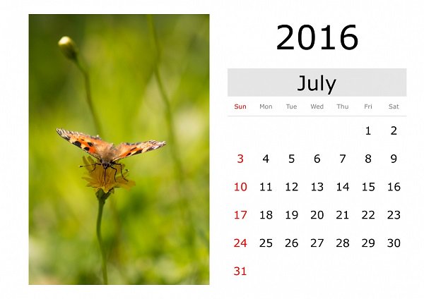 декабрь 2017 календарь. календарь июль 2016г. календарь на каждый месяц. июль 2019 года календарь. июль 2016 календарь.