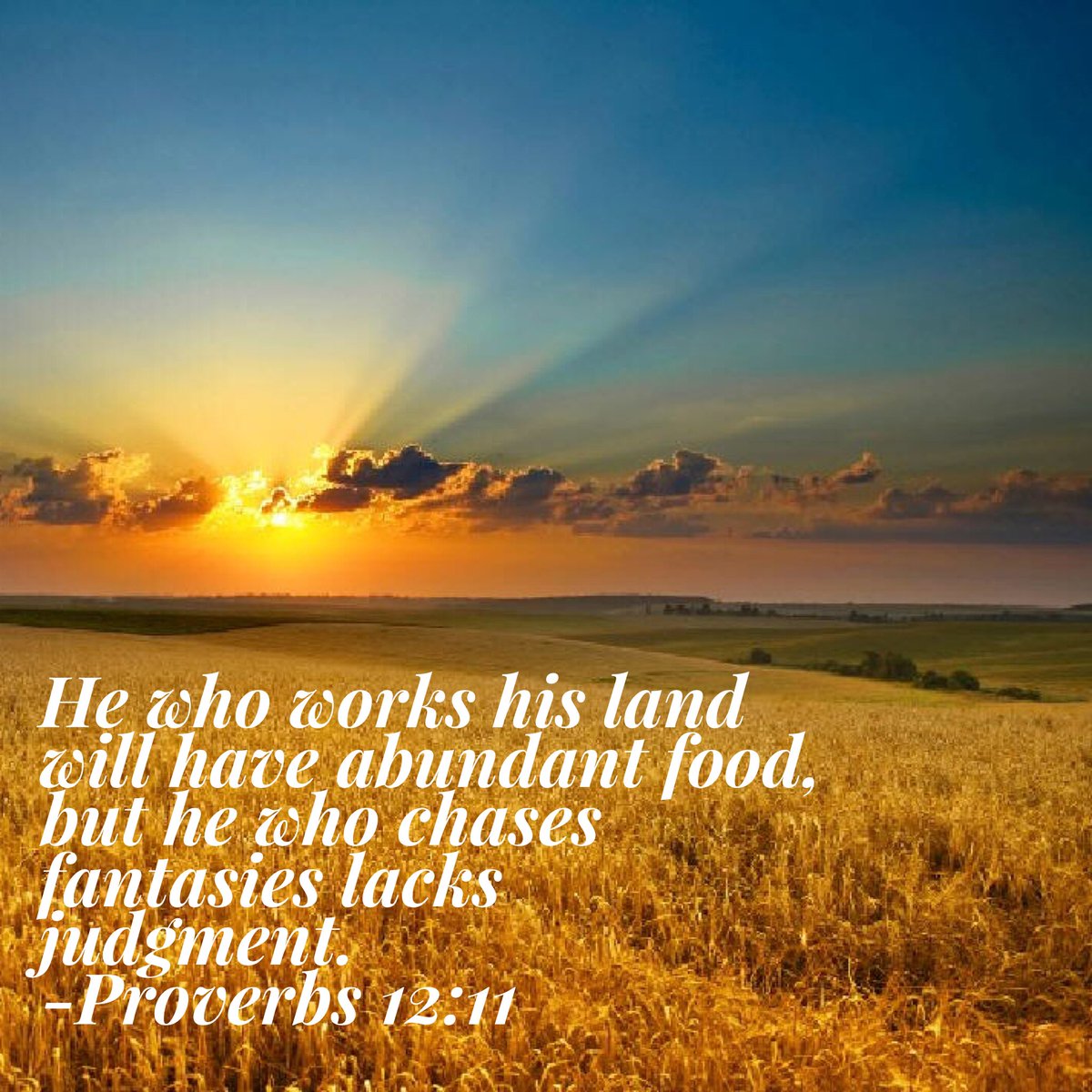 ProverbsSuccess's tweet image. Hey everyone! We have switched primarily over to Instagram now. You can find us here: instagram.com/proverbssucces…