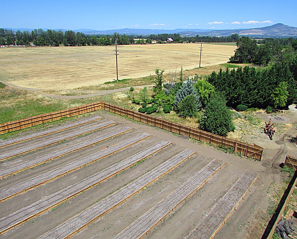 HighRiseFarm tweet picture
