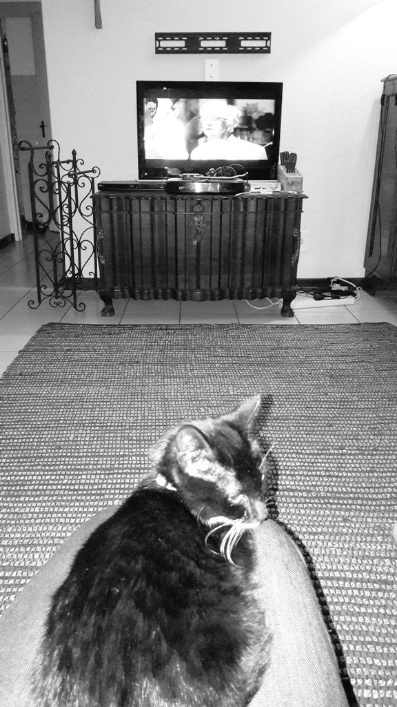 #Lola-kat kyk saam <a href="/koekedoor/">Koekedoor</a> <a href="/kykNETtv/">kykNET TV</a> #Koekedoor <a href="/huiskok/">Errieda du Toit</a> <a href="/marilouisguy/">Mari-Louis Guy</a>