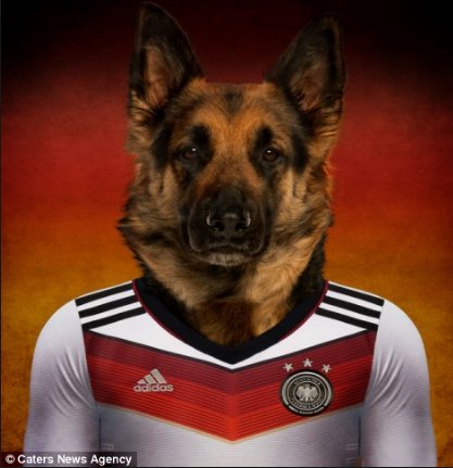 Whose going to win it tonight? #France or #Germany? #Euro2016 #Football #SemiFinals