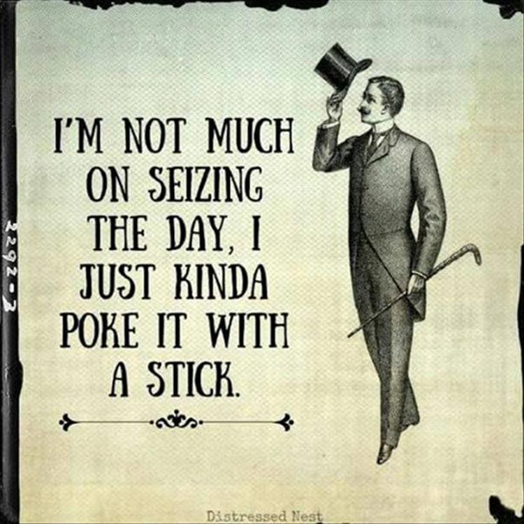 #truth #snarkcasm Follow us on Fb and IG at <a href="/Snarkcasm1/">Snarkcasm</a>