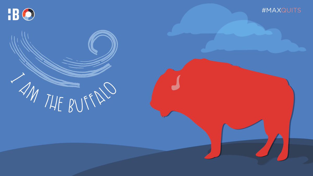 maxnesterak's tweet photo. i'm a buffalo. you're a buffalo. we are buffalos! https://t.co/kioVhMtEq9 #maxquits https://t.co/GMK997FBlM