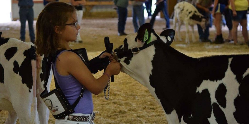 Semex's tweet photo. Solomons are popping up everywhere! Love this picture of Campbell Booth from WI Dist Show. #genomax #showtime #a2a2 https://t.co/gpXx2ZvfCs