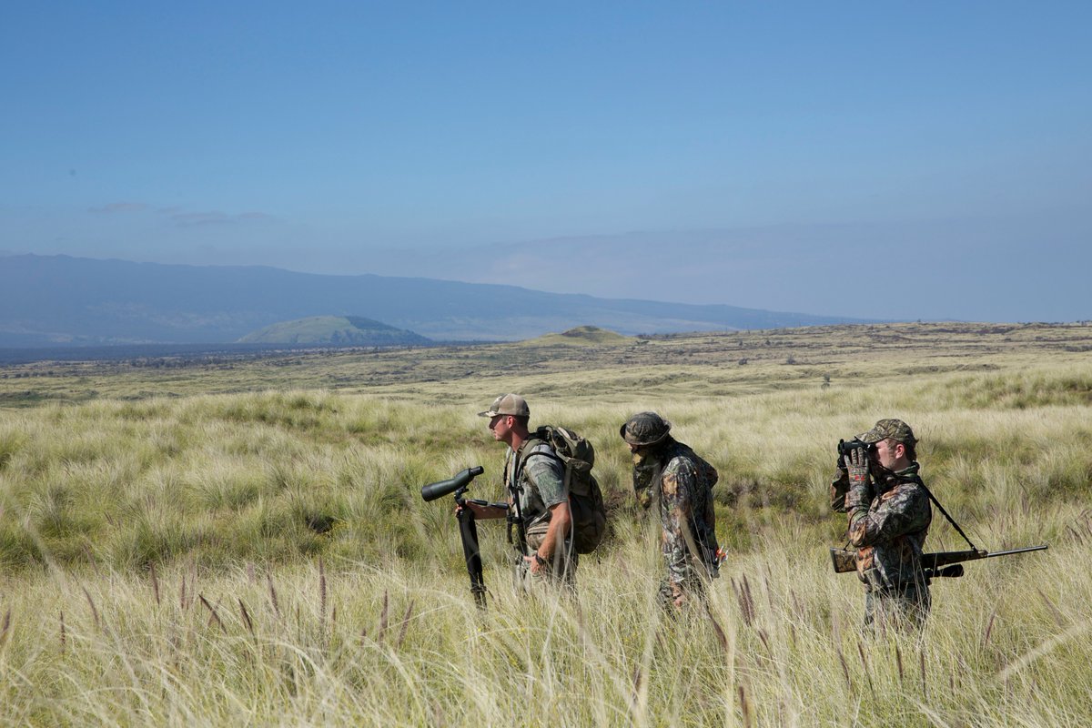 A little sneak peek of tomorrow's "Aloha" episode on #AllAccessOutdoors. <a href="/OUTDChannel/">Outdoor Channel</a>