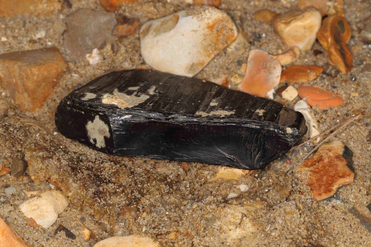 <a href="/TouchingTheTide/">Kate</a> <a href="/GeoSuffolk/">GeoSuffolk</a> Jet looks and feels like plastic , it will leave a brown streak on porcelain