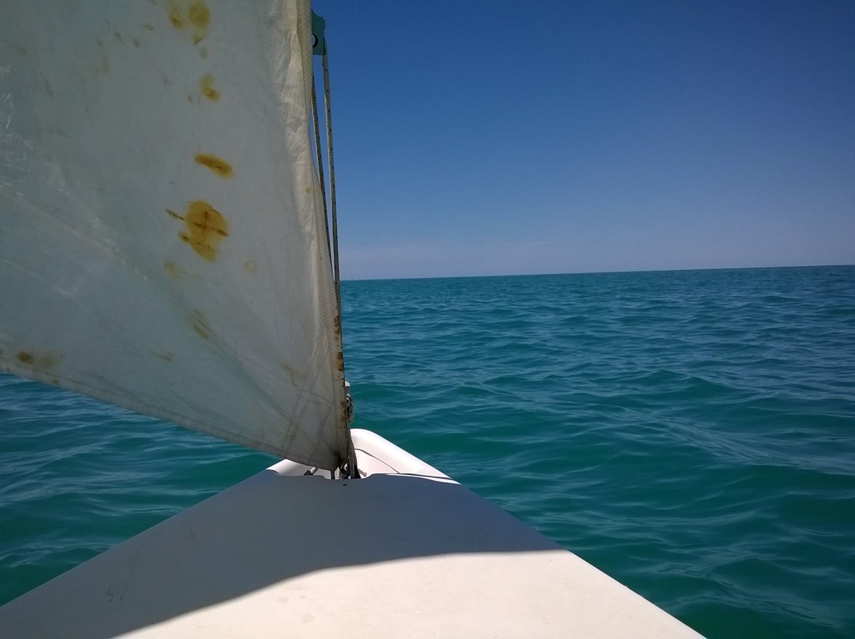 CptPhoenix's tweet photo. Come lupi che corrono nei boschi in libertà! :) #sea #freedom #FreeSpirit #sailing #travel #world https://t.co/3S4s3739ni