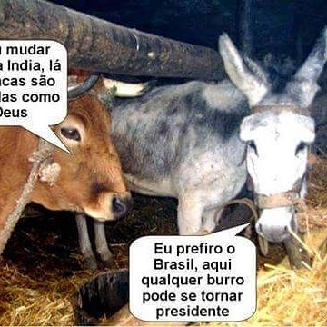 MaraLima.timbeta (@maralima2354) on Twitter photo 