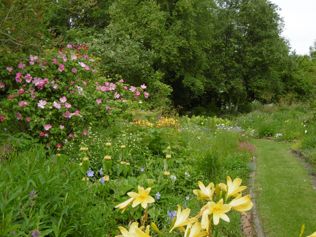 Zondag 10 juli zijn wij ook open vanaf 10 uur tijdens de Opentuindagen van #Groei&amp;Bloei afd. Groningen en omstreken