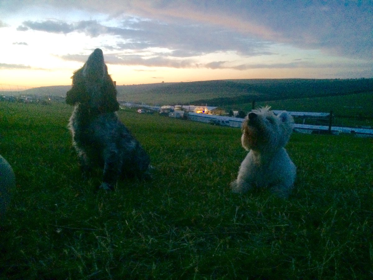 George &amp; Tickie are hoping for clear weather this weekend <a href="/BarburyCastle/">BarburyHorseTrials</a>