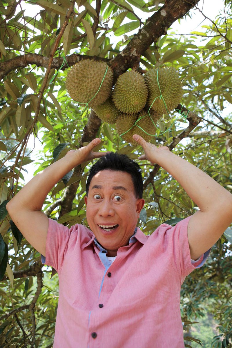 Never fall asleep under a durian tree. You may wake up with a giant headache!