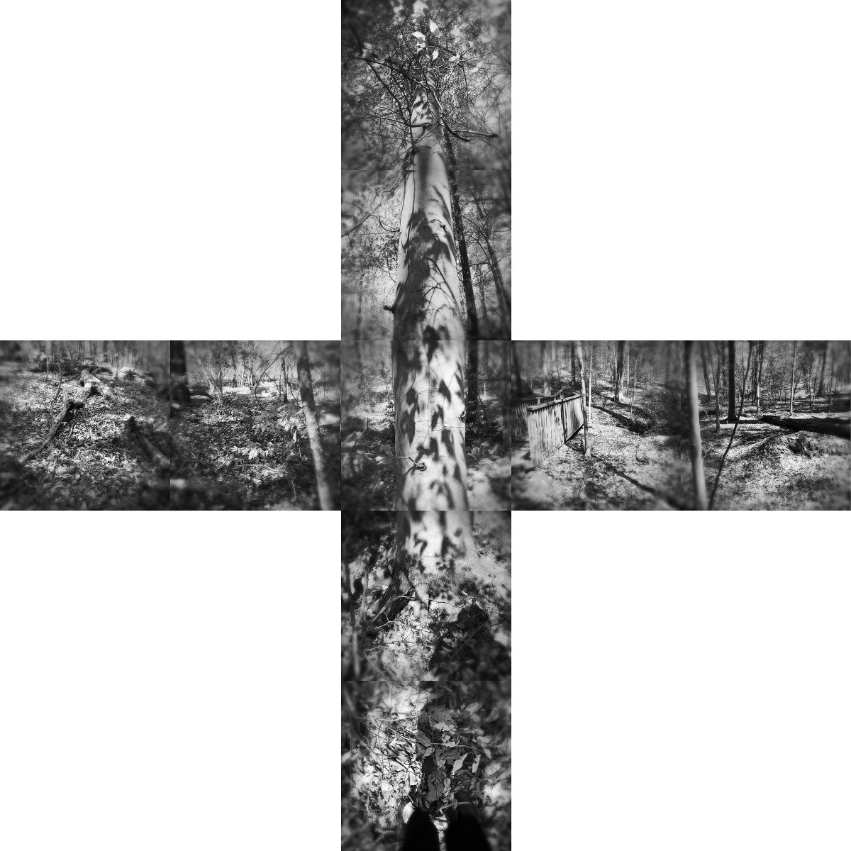 #upcoming #exhibtion 
FOUR #PHOTOGRAPHERS 
#TamaHochbaum, #FabiolaMenchelli, #SusanMikula, #PaulRickert