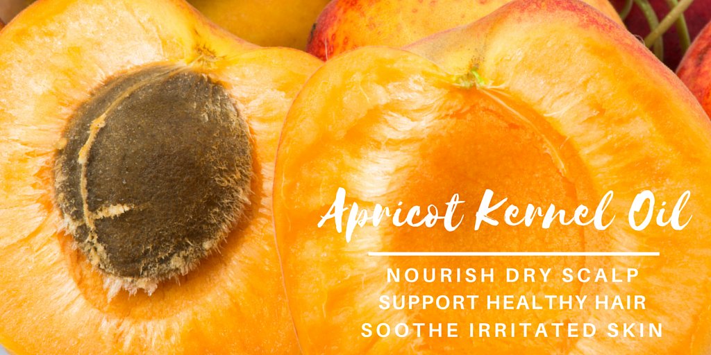 OInfusions's tweet image. Support hair &amp;amp; skin health by adding Apricot Kernel Oil into your routine 👸 #EssentialOils ➜ bit.ly/29u3eYR