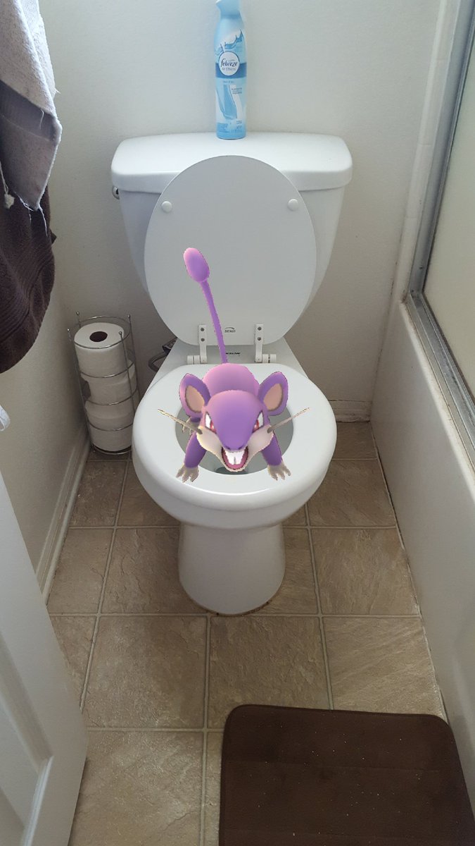 ToonamiIsMyLife's tweet photo. There's a rat in my toliet #pokemongo https://t.co/lnlWRKwHfo