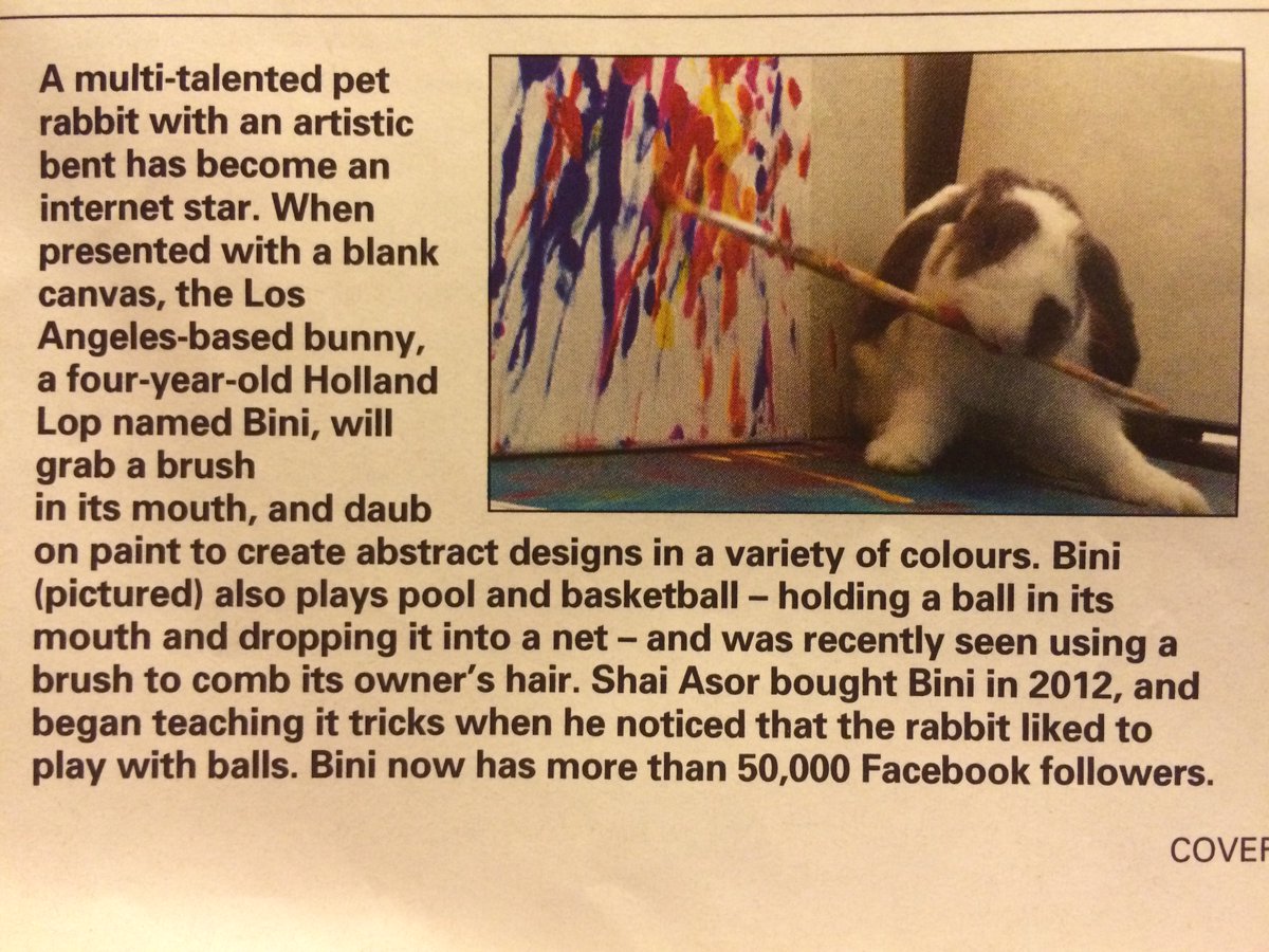 VandelayLabsHQ's tweet photo. Talented rabbit creates original art and has 50,000 followers. From @TheWeek https://t.co/KoobxikY3p