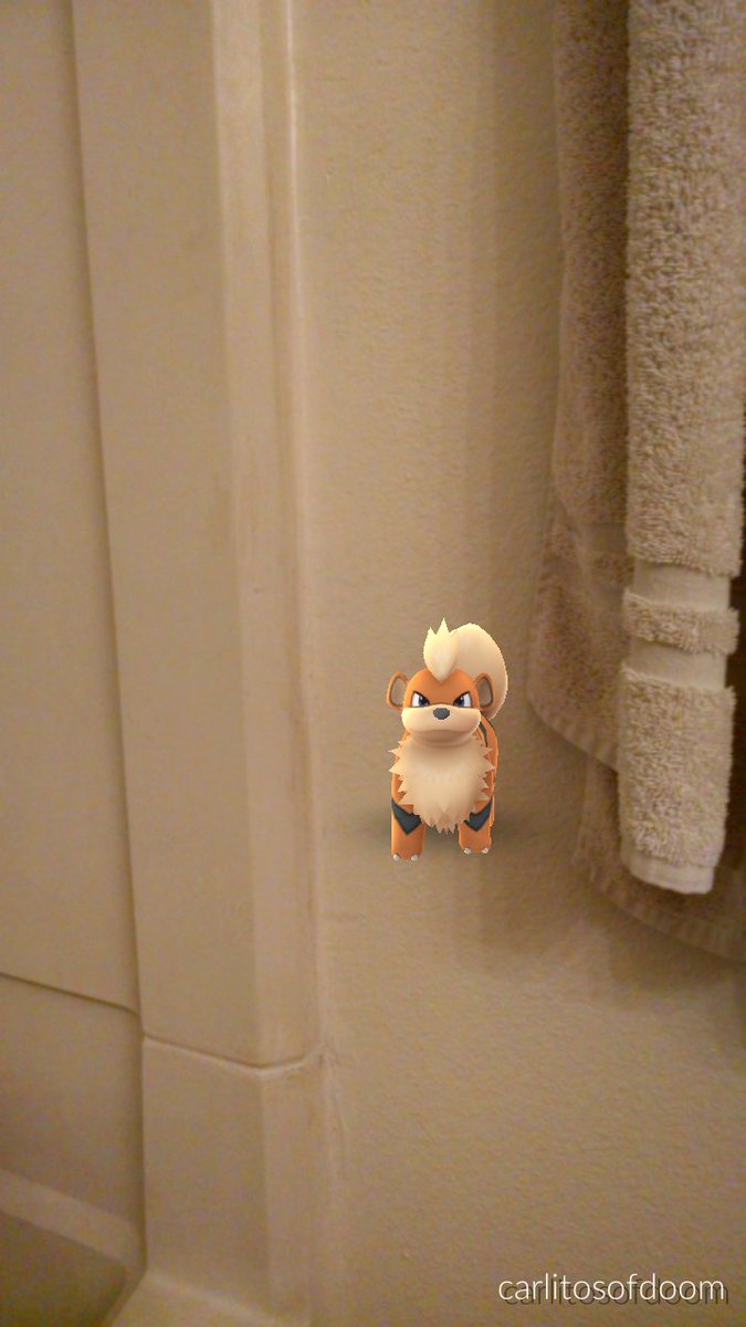 CarlosGuzman76's tweet photo. When you tryn to poop but a wild growlithe shows up #NoPrivacy #PokemonGo https://t.co/q5HM7Lv82L
