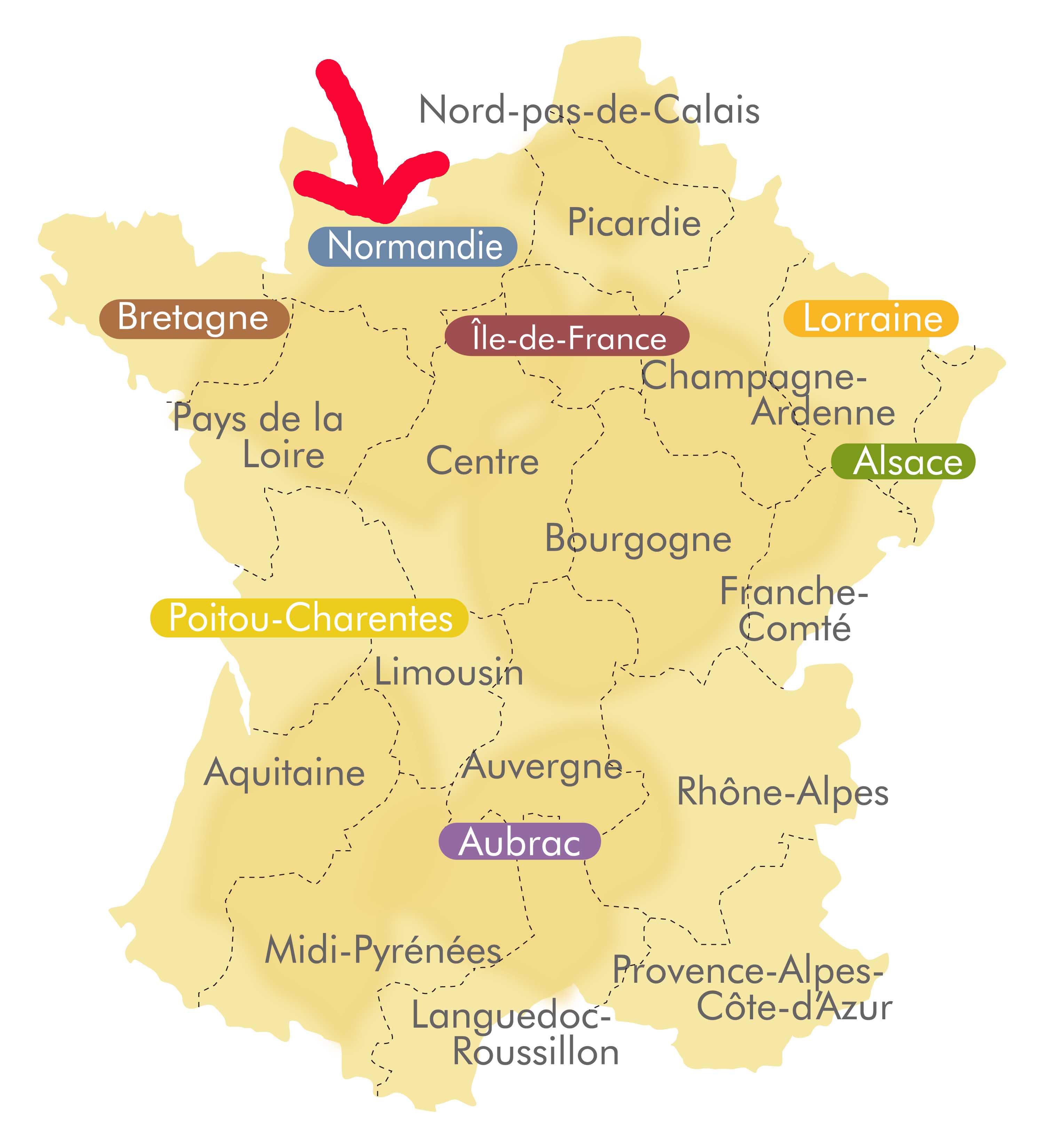 ドンク 今日からフランスフェア ノルマンディー地方 タルト オ ポム ノルマンディー 歴史と自然が感じられる ノルマンディー地方はりんごの名産地 ドンクでは隠し味にアプリコットジャムを使い 甘酸っぱりりんごのタルトを作りました