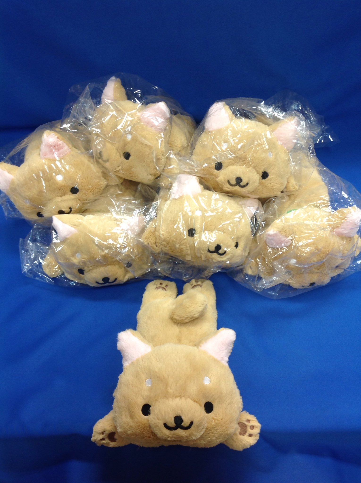 玩具と文具 あさだ on X: 