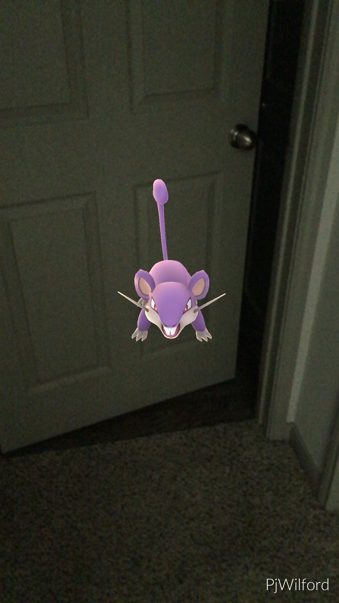 Flets_Craft's tweet image. Get out of my bathroom, #PokemonGo