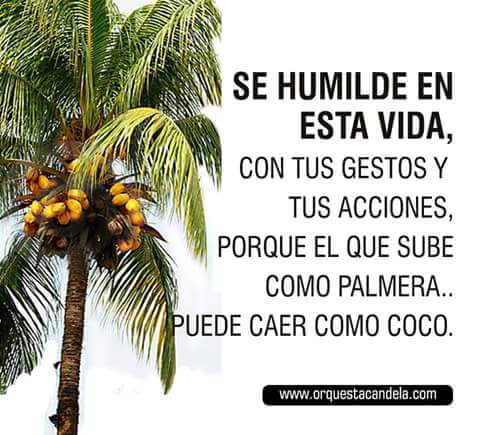 AlexAidee's tweet image. 