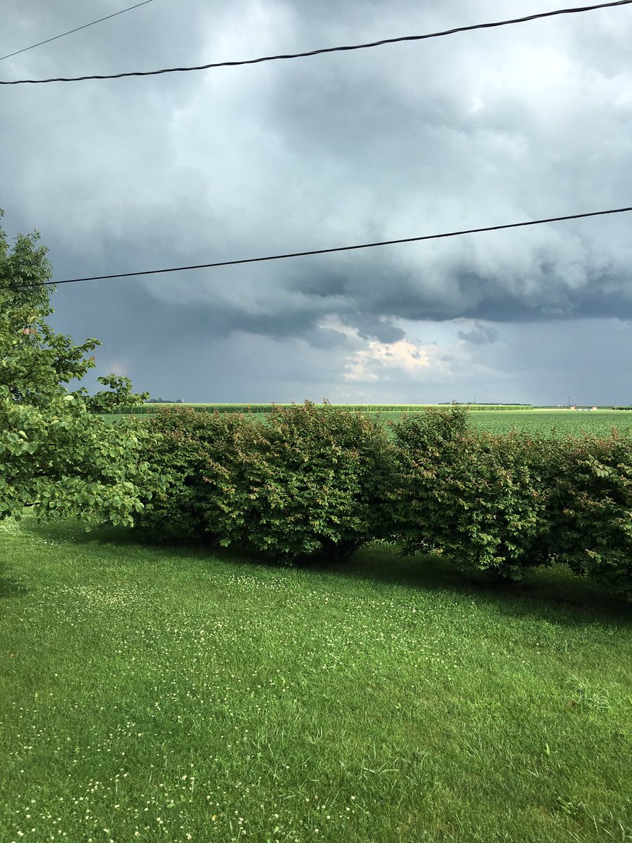 diggers_grave's tweet photo. My mom says I can be a photographer! #like #rain #clouds #goodpic https://t.co/RADClfJiWF