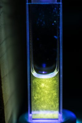 Amyloid probes gain powers in search for Alzheimer’s cause - goo.gl/erxwT6 h ...