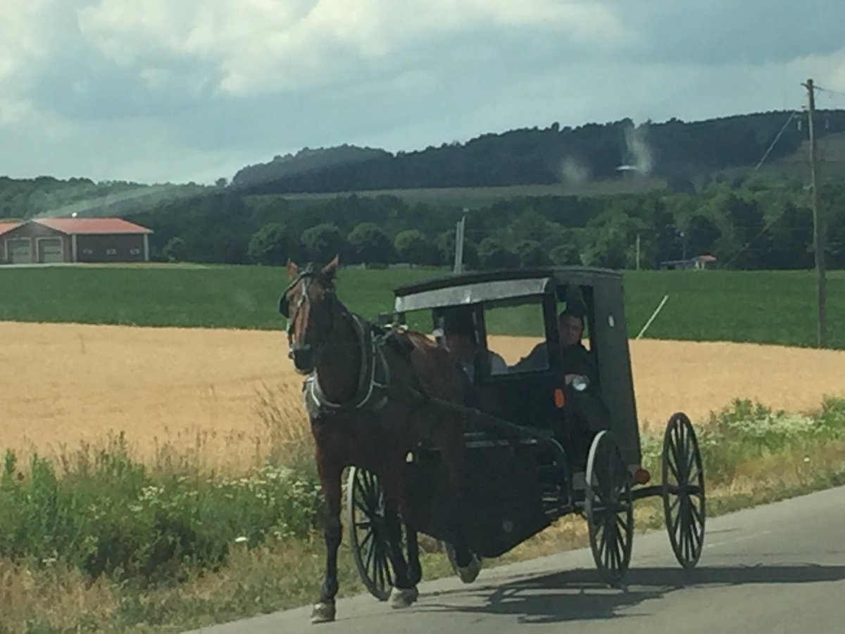 pwrflteacher's tweet photo. Buggies and then rainbows come out! Adventures in #noreturnsnoexchanges https://t.co/ODlPDZaFHc