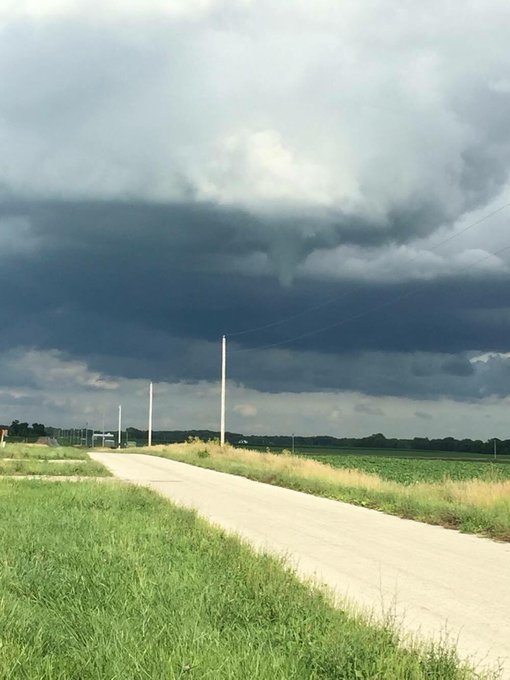 View image on Twitter