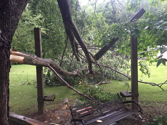 View image on Twitter