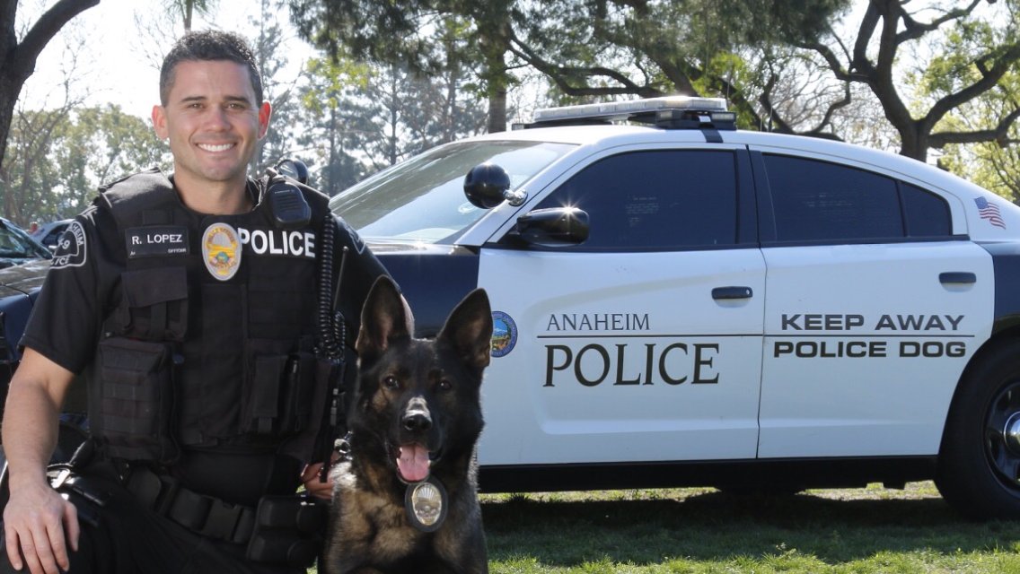 AnaheimPD's tweet image. Happy Retirement K9s Guenther &amp;amp; Ares-Officially retired at @City_of_Anaheim Council meeting. Over 13yrs of service