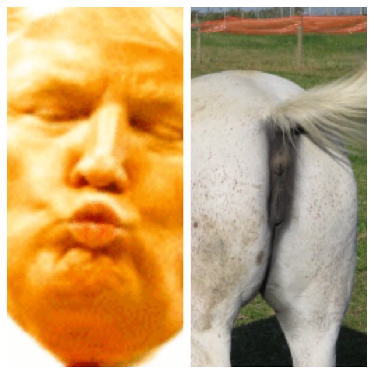 JFJfromMPK's tweet photo. I see a similarity. LOL #anusface https://t.co/JQ9wTHyWuY