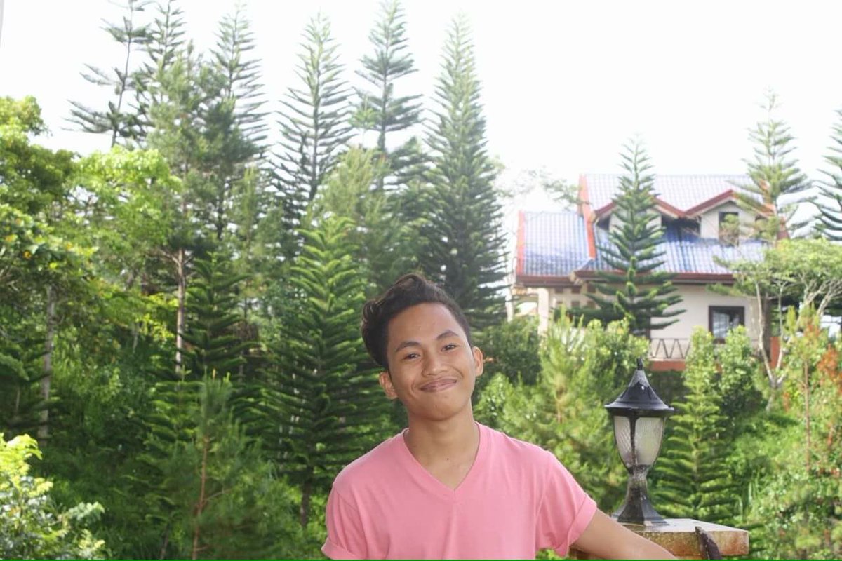 PHOTOGRAPHS2016's tweet image. 🌲