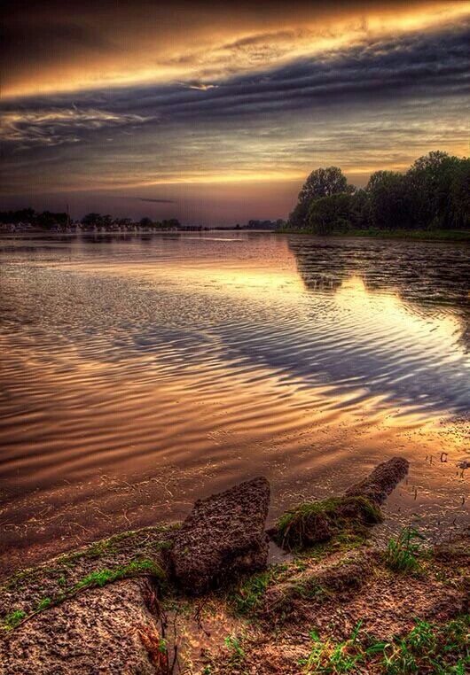 danahjerkovic's tweet image. NO IMPORTA LA LENTITUD CON LA QUE AVANCES, SIEMPRE Y CUANDO NO TE DETENGAS.

✅ SUERTE ♥
@beatshoney 
W.R