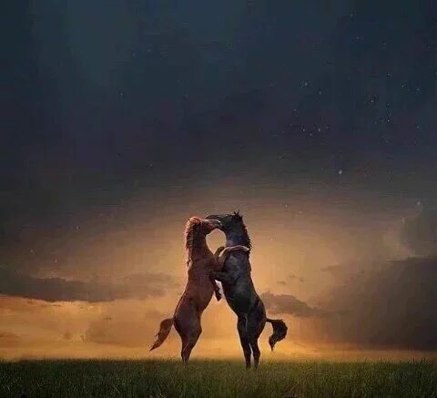 danahjerkovic's tweet image. NO IMPORTA LA LENTITUD CON LA QUE AVANCES, SIEMPRE Y CUANDO NO TE DETENGAS.

✅ SUERTE ♥
@beatshoney 
W.R