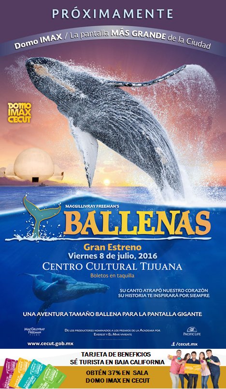 ¡Te esperamos en Domo IMAX de <a href="/cecut_mx/">CECUT MX</a> para el estreno de #Ballenas! 
Obtén descuento con tu tarjeta #SéTuristaBC