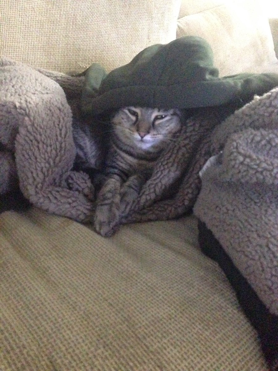 APritzel's tweet photo. Life is tuff https://t.co/tEWlN17nnT