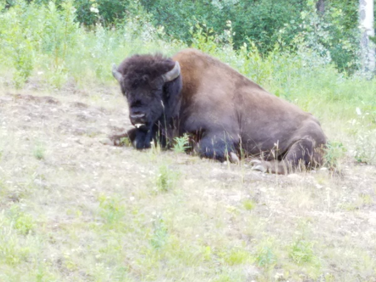 Putter1955's tweet image. 