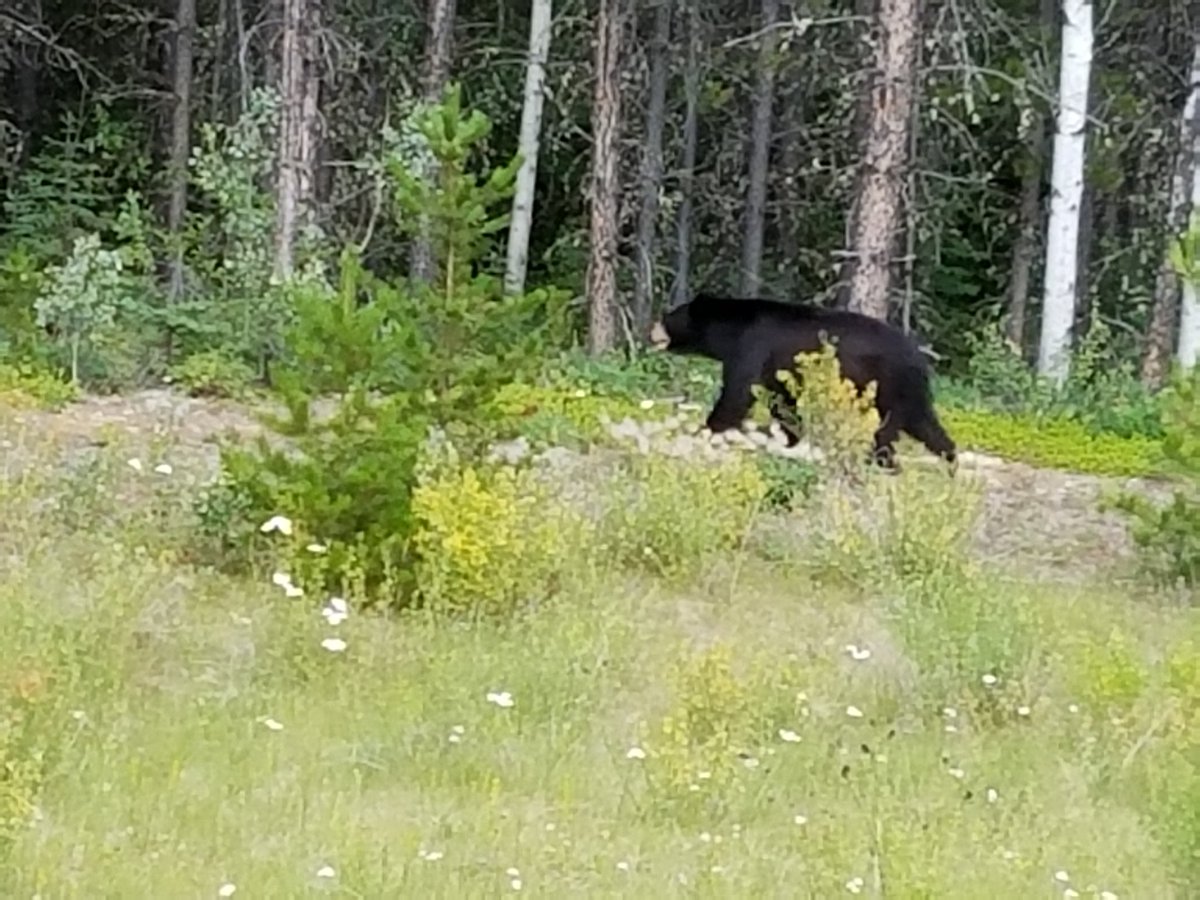 Putter1955's tweet image. 