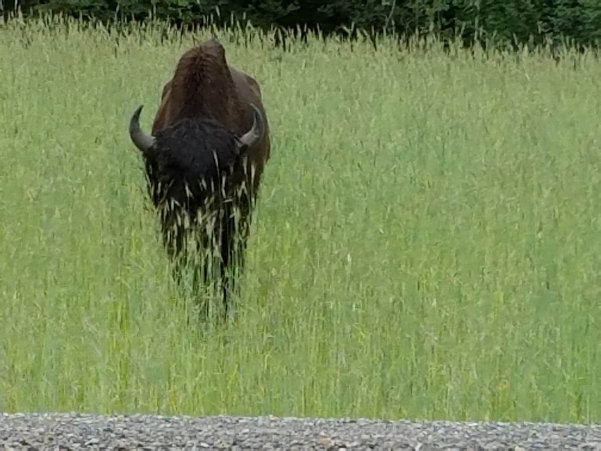 Putter1955's tweet image. 